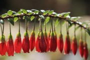 2026 世界杯官方 App 的“全息观赛”功能：身在客厅也能体验 360 度场边视角。