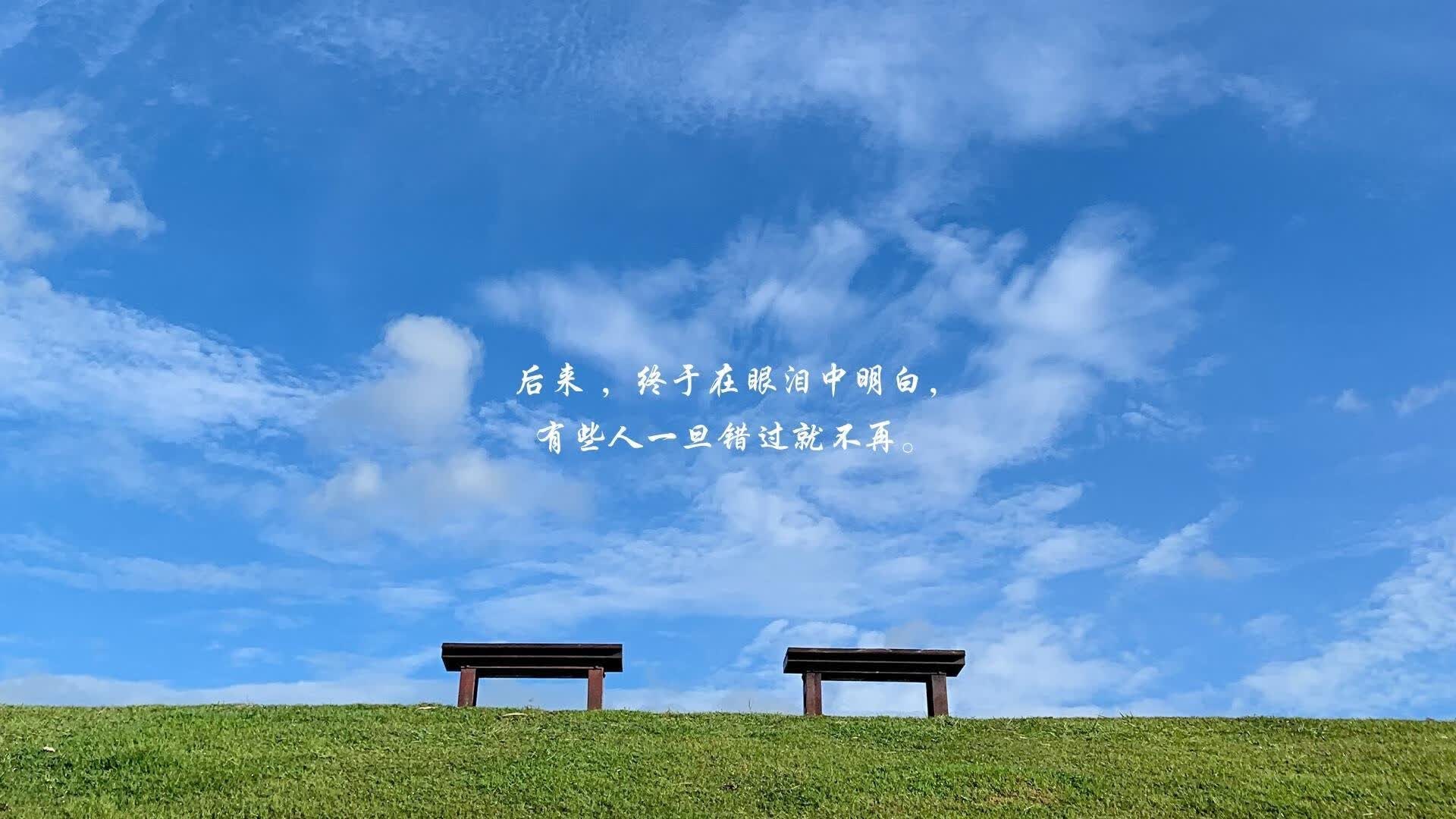 2026 世界杯大洋洲区附加赛:新西兰国家队的唯一世界杯希望,世界杯大洋洲区预选赛排名
